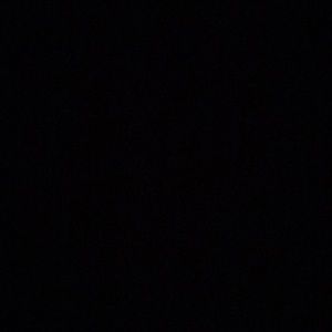 Meet your Posher, Scarlett